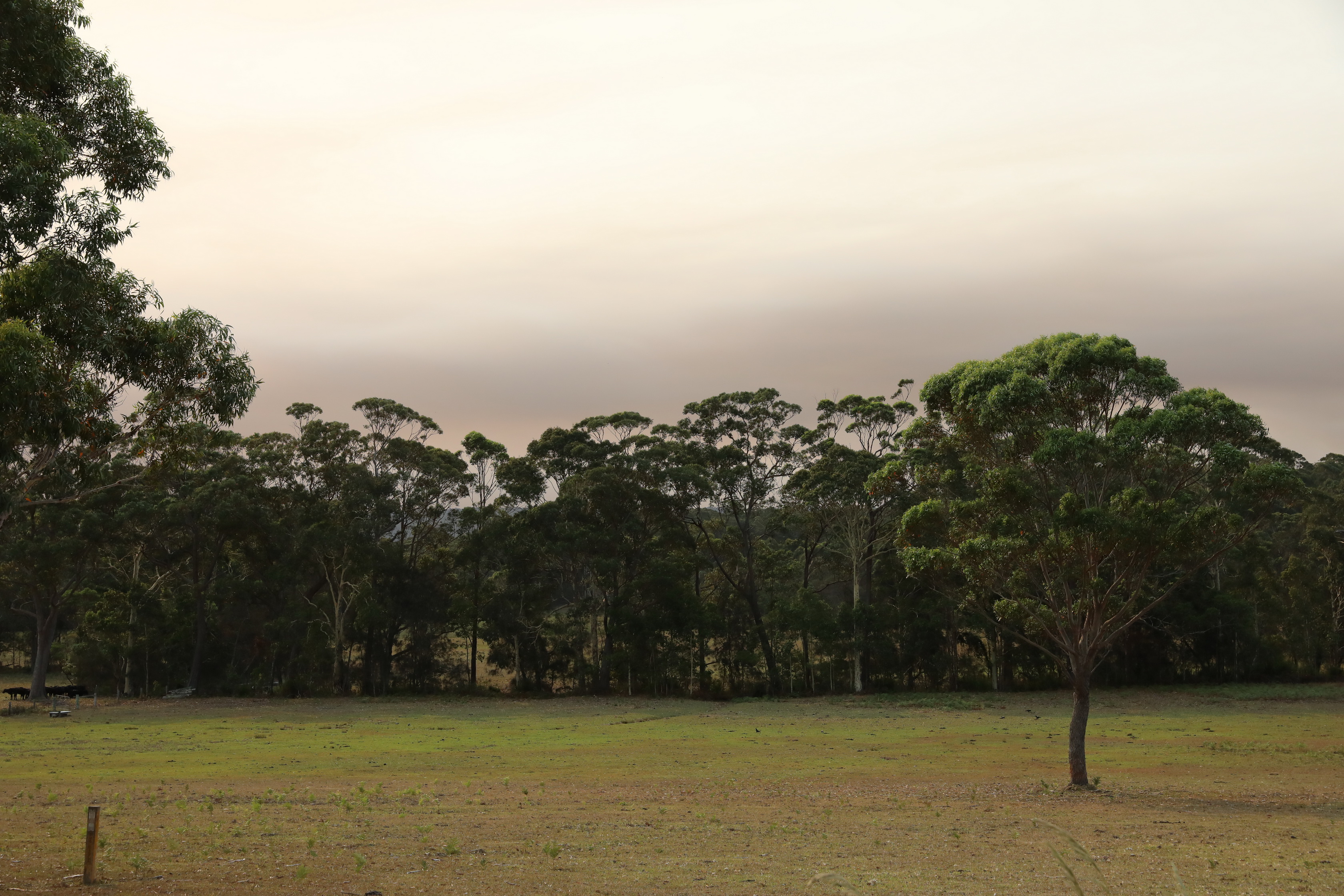 Princes Highway bei Tabourie